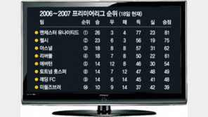 [스포츠 게시판]2006~2007 프리미어리그 순위(18일 현재)