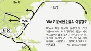 [생생 생물학]‘살아 있는 화석’ DNA 분자로 인류조상 추적