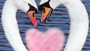 [지금은 연애시대]<하>부부위기 탈출 필살기