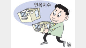[아하! 그렇군요]안목치수