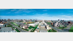 [China Rush]서부 대개발 대표 3개 市 가다/충칭-청두-시안