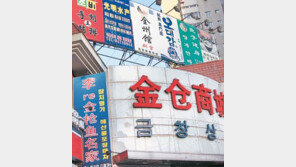 [China Rush]대륙 곳곳에 한인촌…교민 100만 시대 열린다