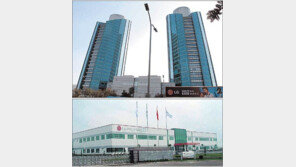 [China Rush]국내 주요 그룹의 중국 진출 전략<3>LG