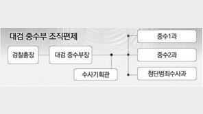 송광수 前검찰총장 ‘폐지 압력’ 발언 이후 주목받는 대검 중수부