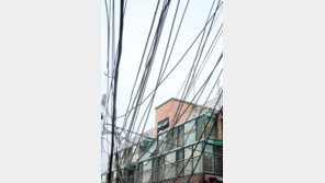 [포토 에세이]어지러운 세상