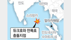 1999년 인도양 남북화물선 충돌“北, 보험금 노린 고의 사고”