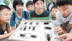 [커버스토리]신기한 건 多 모였네… 가볼 만한 벼룩시장