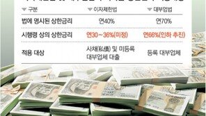 사채 이자 상한선 연40% → 30%대로