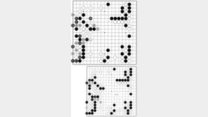 [바둑]50기 국수전… 빛나는 두터움