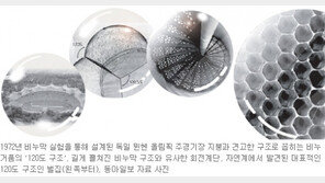 비눗방울은 자연계의 마법공식