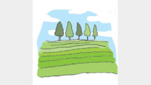 [오늘의 날씨/4월 27일]새 잎의 설렘