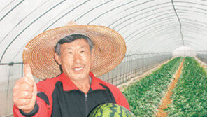 [FTA시대 한국농업, 위기가 기회다]<上> 새 길을 뚫은 농민들