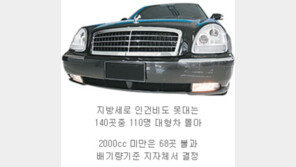 재정자립도 낮은 지자체장 자신의 전용차로 대형차 탄다