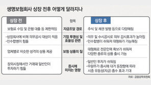 몸집 커지는 생보사들, 보험의 질도 높아진다