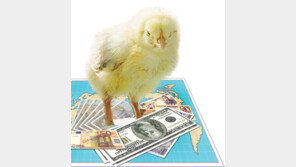 상장 추진 걸음마 뗀 ‘KRX’…수익 창출 ‘블루칩’ 찾아라