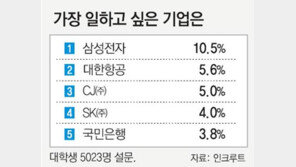 가장 선호하는 직장-직업은 무엇입니까