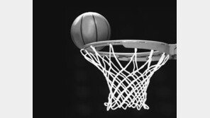 ‘내일은 없다’… 모비스-KTF 오늘 운명의 최종전