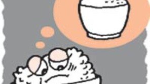 [오늘의 날씨/5월1일]일은 밥을 만들고, 밥은 생명을 키운다