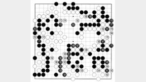 [바둑]50기 국수전…마음에 달렸다