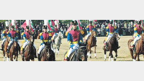 전군 유일 ‘육사 군마대’를 가다