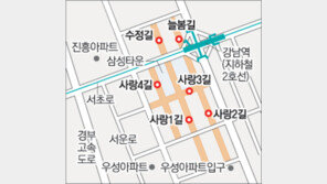 서초 삼성타운 일대 테마거리 만든다