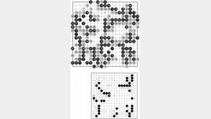 [바둑]50기 국수전… 10대 국수 탄생