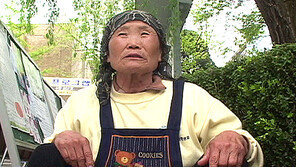 서울대 김밥할머니 “나 더러 어디로 가라고…” 논란