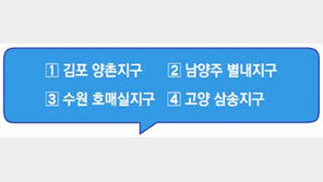 이곳에 비축용 임대주택 짓는다