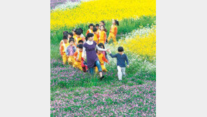 푸르른 5월…가족과 함께 가볼 만한 ‘내 고장 큰 잔치’