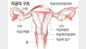 자궁경부암 ‘부끄러움’부터 잡으세요