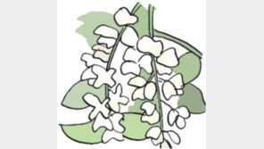 [오늘의 날씨/5월 21일]코끝 간질이는 꽃향기