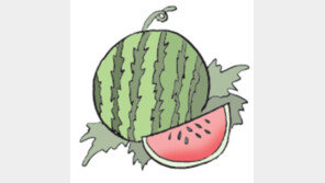 [오늘의 날씨/6월1일]벌써 대단한 수박의 위세