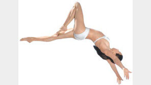 [Digital Life]실속↑ 가격↓ 간편한 휴대전화가 뜬다