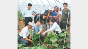 [강원]몽골 ‘강원도 농업타운’2단계 지원사업 나서