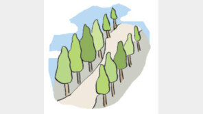 [오늘의 날씨/6월 20일]여름 숲은 생명의 기운으로 가득