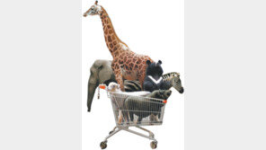 [자연과학]소는 먹지 않고 쇠고기를 먹는다?