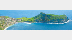 [제주]성산일출봉은 ‘새들의 천국’