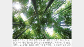 [헬스&뷰티]산소가 풍족한 삶, 기분도 기억력도 좋아진다