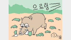 [대구/경북]호랑이 ‘어흥’소리 들려주면 멧돼지가 도망갈까?