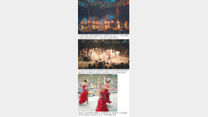 [대구/경북][부산/경남]즐거운 피서지서 신나는 축제한마당