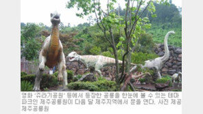 [제주]‘쥬라기 공원’ 이젠 제주서 즐기세요