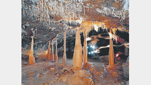 [제주]제주 세계자연유산 지구촌 시선 집중