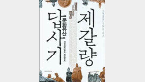 [인문사회]‘제갈량 문화유산 답사기’