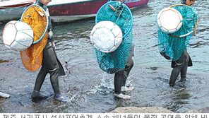 [제주]제주 ‘해녀 물질’ 쇼… 매일 2차례 해산물 채취 재현