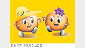 [강원]강원 감자 큰잔치 8일 개막