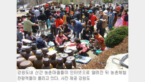 [강원]강원 농촌 관광객 줄잇는다