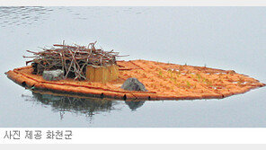 [강원]“수달아, 안심하고 와서 쉬렴”