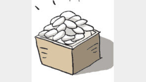 [오늘의 날씨/8월 14일]자연은 건너뛰는 법이 없다