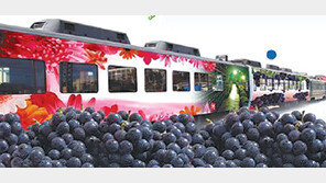 [충북]“테마 열차타고 영동 포도축제 오세요”