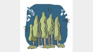 [오늘의 날씨/8월 24일]밤이 고요하단 말은 거짓이다